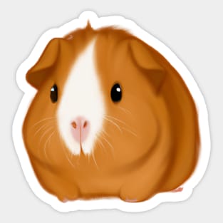 Cute Guinea Pig Drawing Sticker